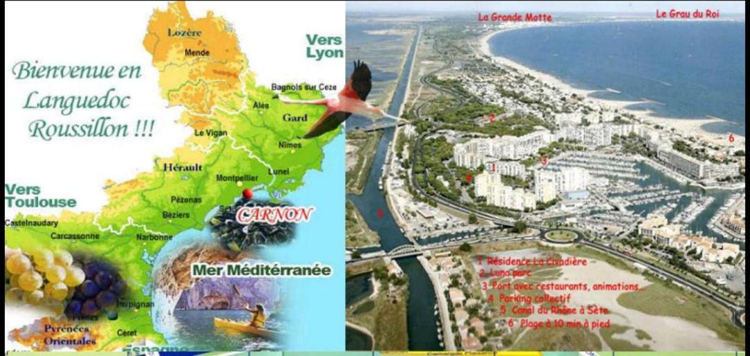 Suite-Junior -Villa Helene - Montpellier Sud - Aeroport- Piscine Privee-2Mn Des Plages Pérols Екстериор снимка