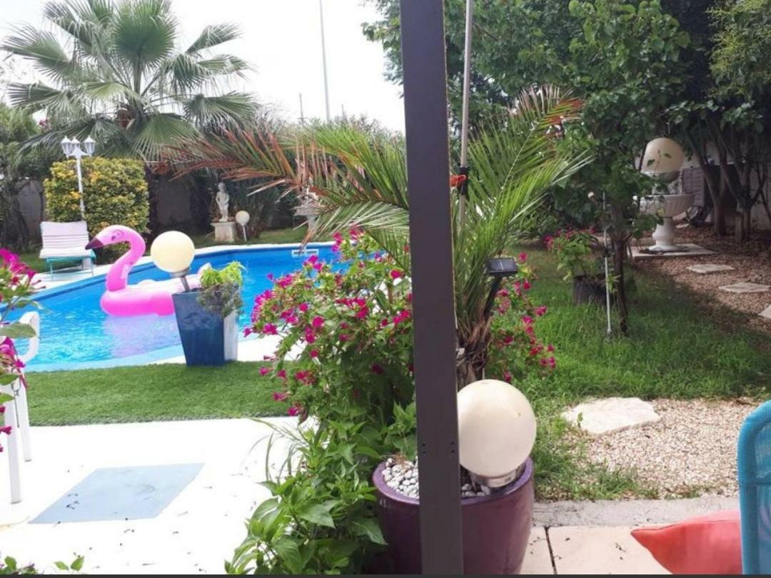 Suite-Junior -Villa Helene - Montpellier Sud - Aeroport- Piscine Privee-2Mn Des Plages Pérols Стая снимка